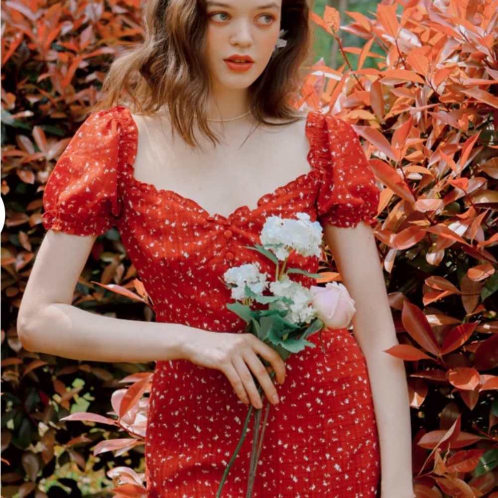 Petite Studio Red Maisy Dress